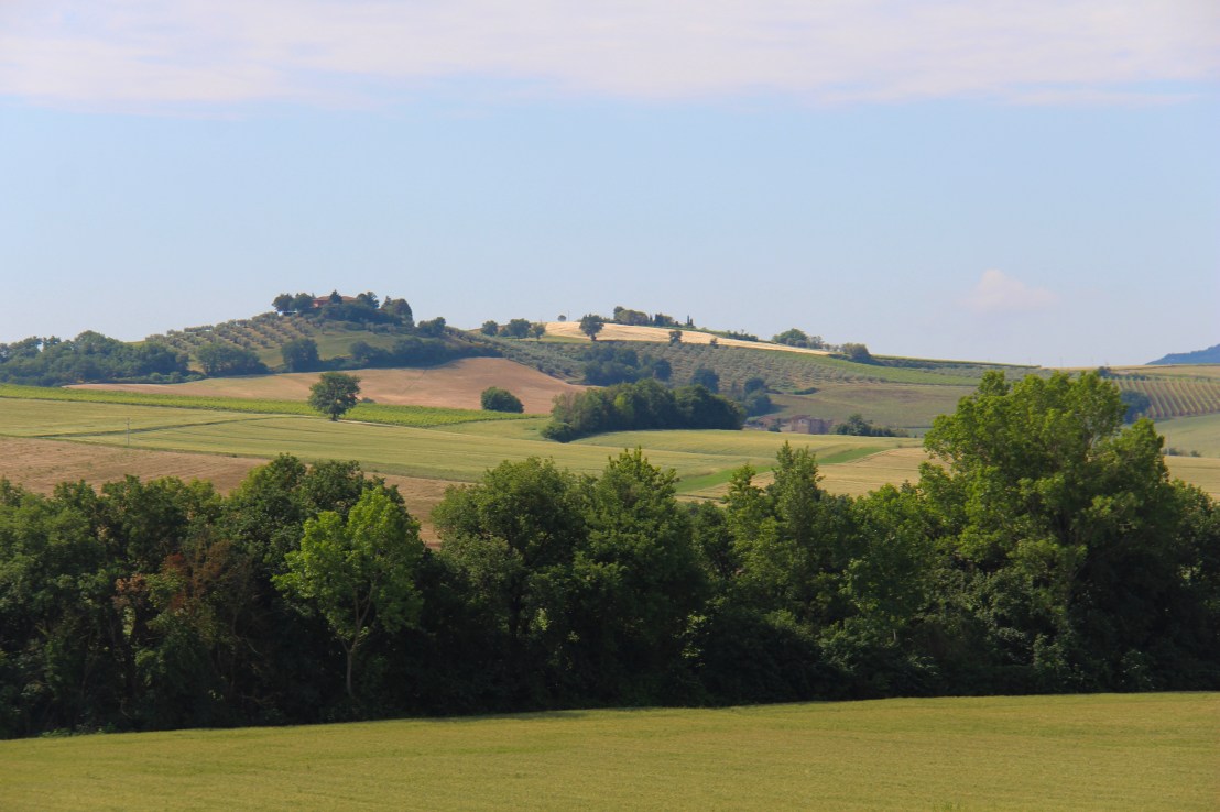 F2A41FE7-F218-44AF-B26B-38EE2E1E2859