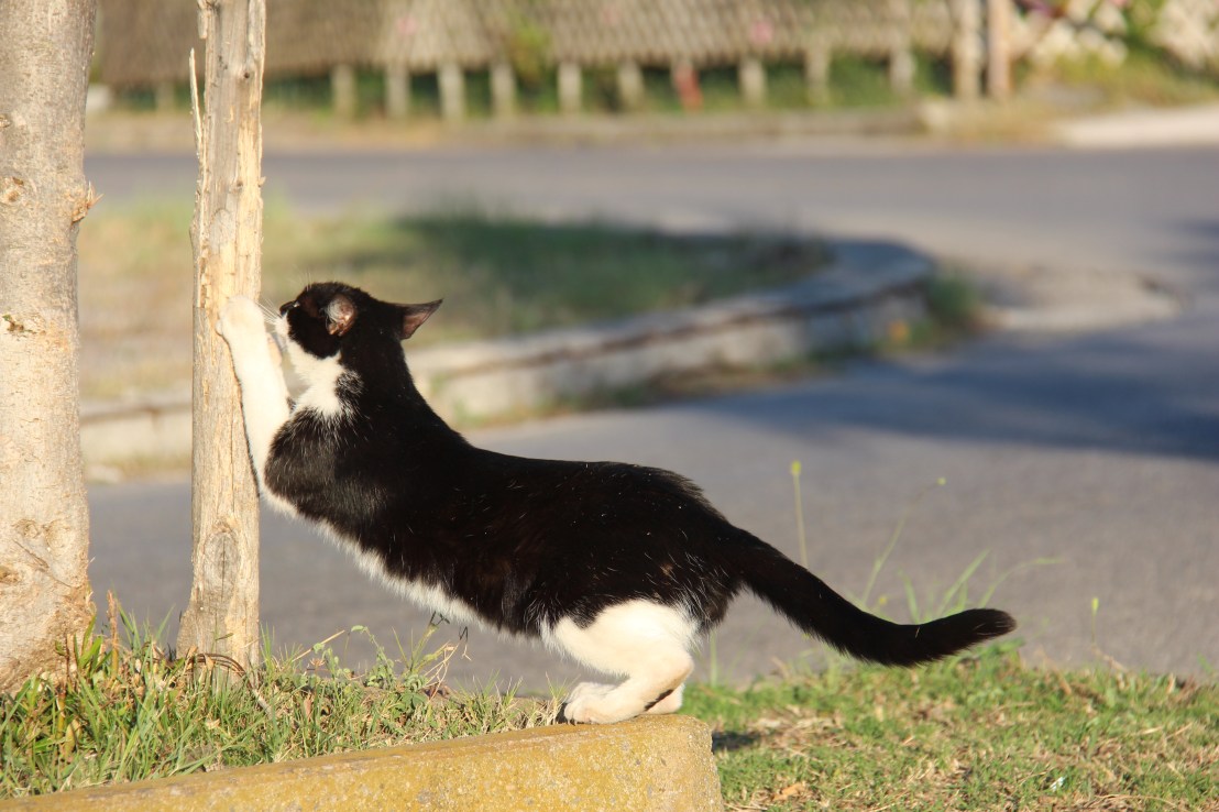 FB7C9A95-7535-4E7B-8544-6B7B93FC7539