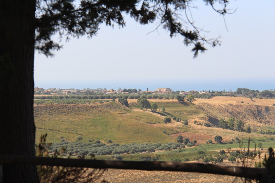 064CF8F5-7143-428F-BF91-7BF8663F7055