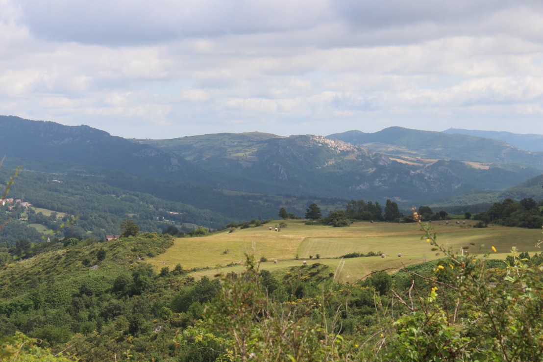 06A29292-B7E2-4022-A403-6ABE94E72215