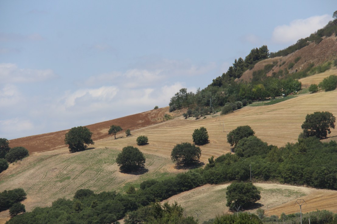 0C032295-1B48-4BBF-AE70-8CEAF8E41566