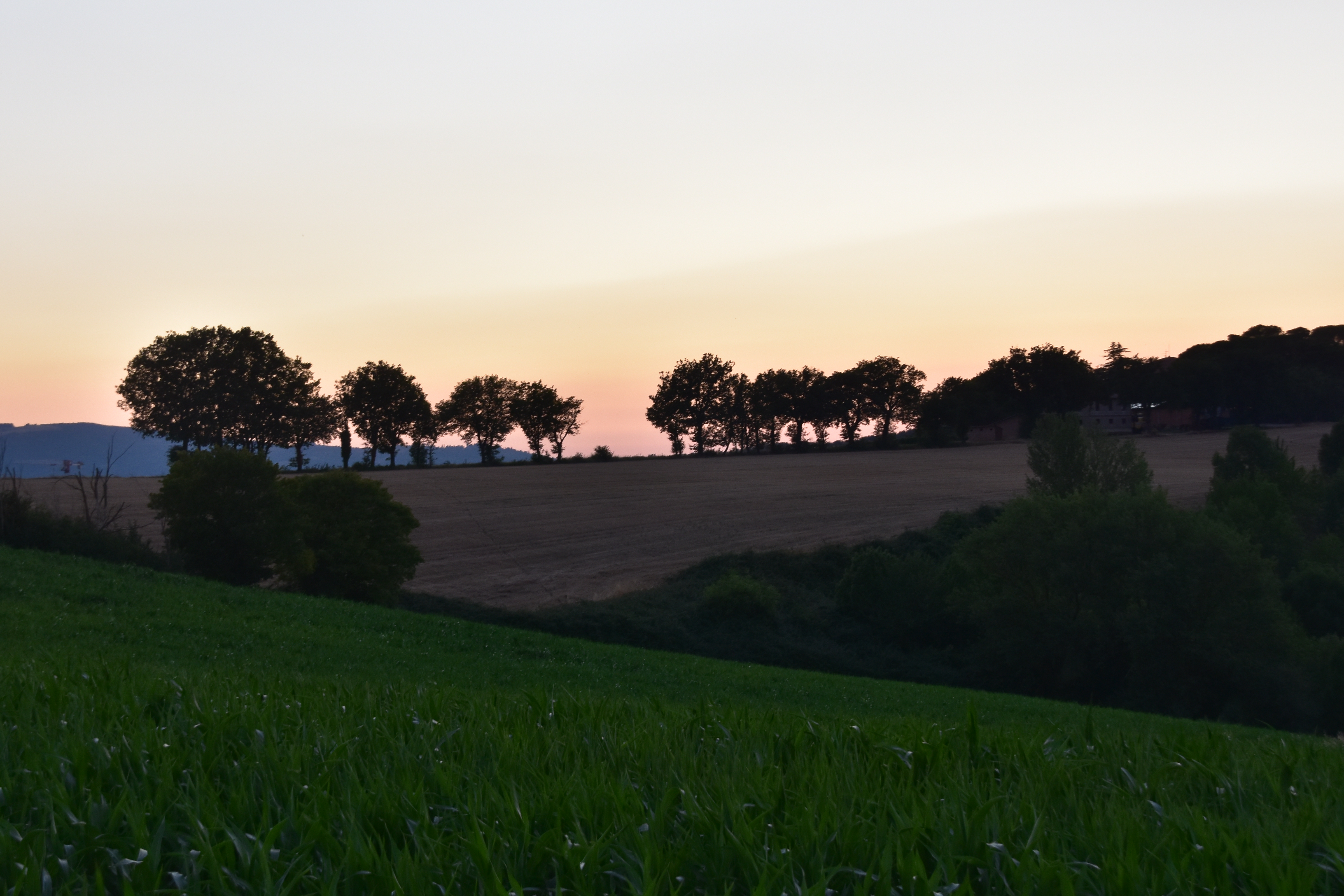 0EF416D9-017B-4FC5-AF89-03CD74F8854D