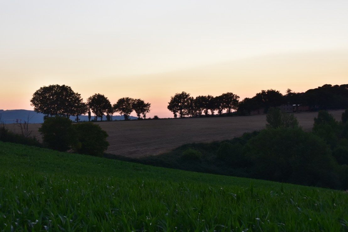 0EF416D9-017B-4FC5-AF89-03CD74F8854D