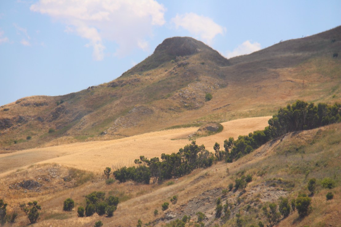 0F6B4D17-842A-4F92-97F0-31C03CB2CCDA