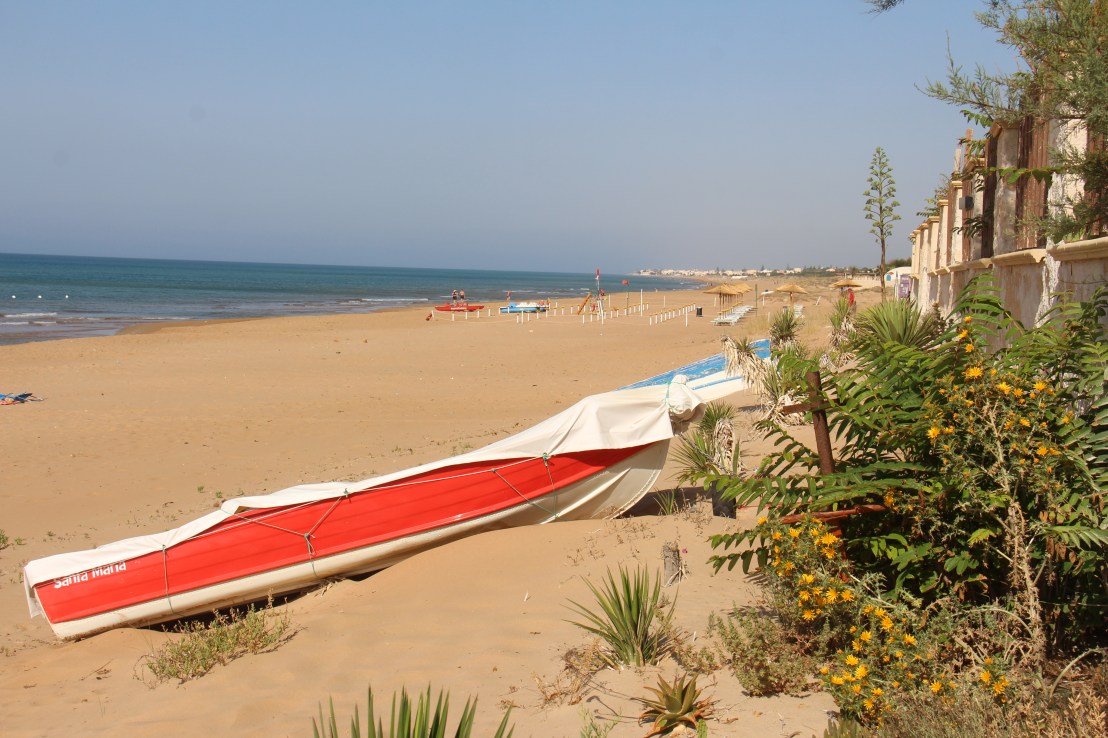 1C80BB9E-4F1E-48DB-A509-ABA6E155C110