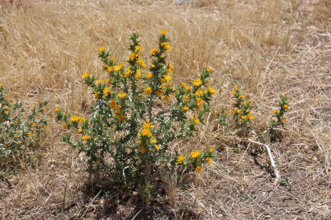 2BA42CD4-5CF6-4260-A74D-01FC3E898E1E