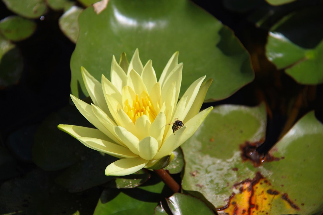 2BF5A197-EB83-47A4-9D24-8BEA5A031B84