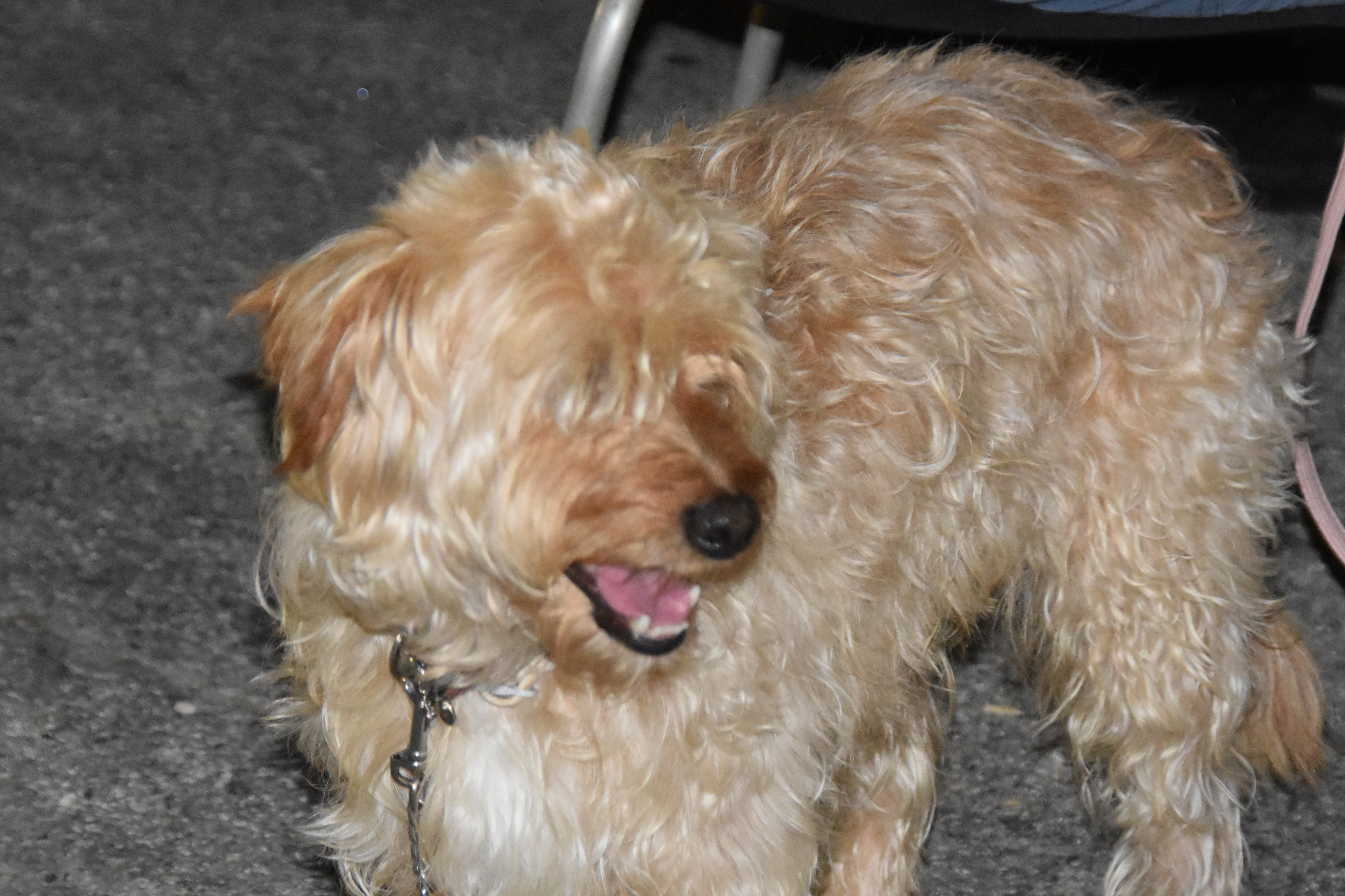 30E72FB6-1120-4CF5-AB1B-9F8750DF8423