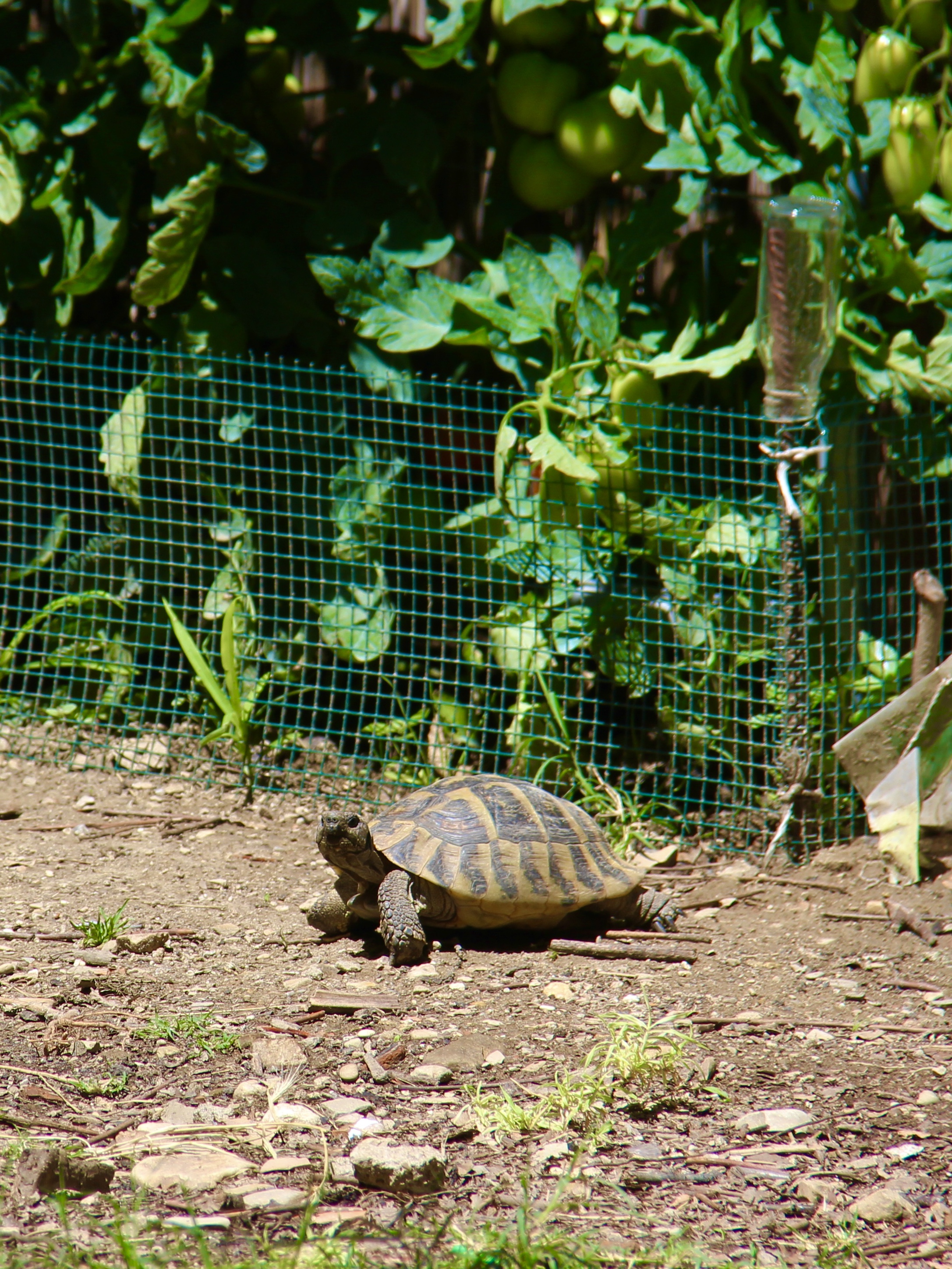 3273B219-AE57-4D66-A918-33995F40FF2B