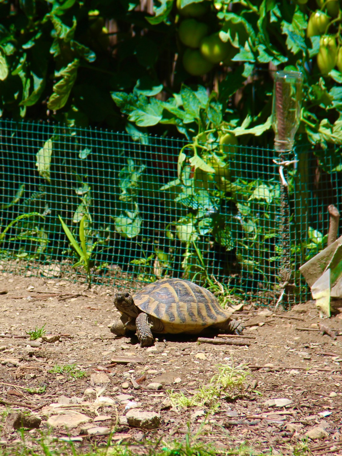 3273B219-AE57-4D66-A918-33995F40FF2B