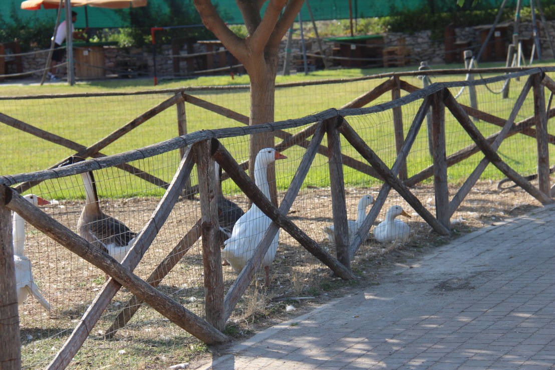 368DD197-AC1A-4FB5-B6F4-8A64C53B6E79