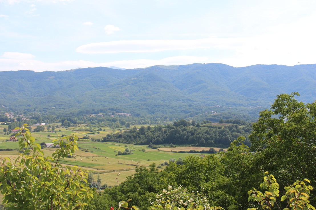 3BB7E2B6-3141-4943-ACC1-72B6DF81842E