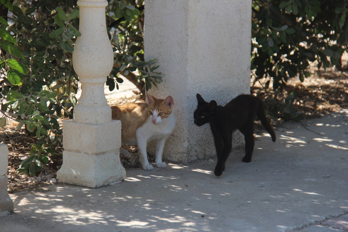 3E55CE40-0D32-46DD-88BB-4102F411B66A