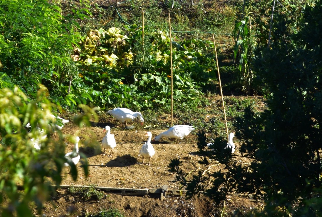 4CE04DE7-18B8-443C-B7D5-24E2214B3505