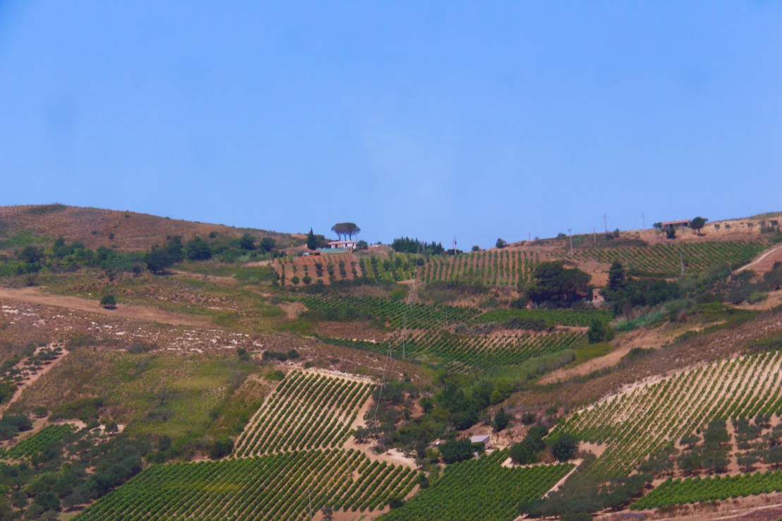 4CF39867-53CA-4065-B6E7-77F27A73B3BC