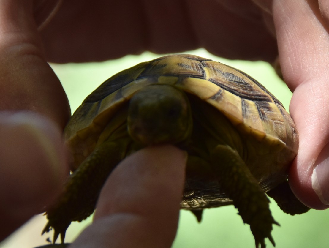 54840355-669D-400C-AD37-7F7289E323BB