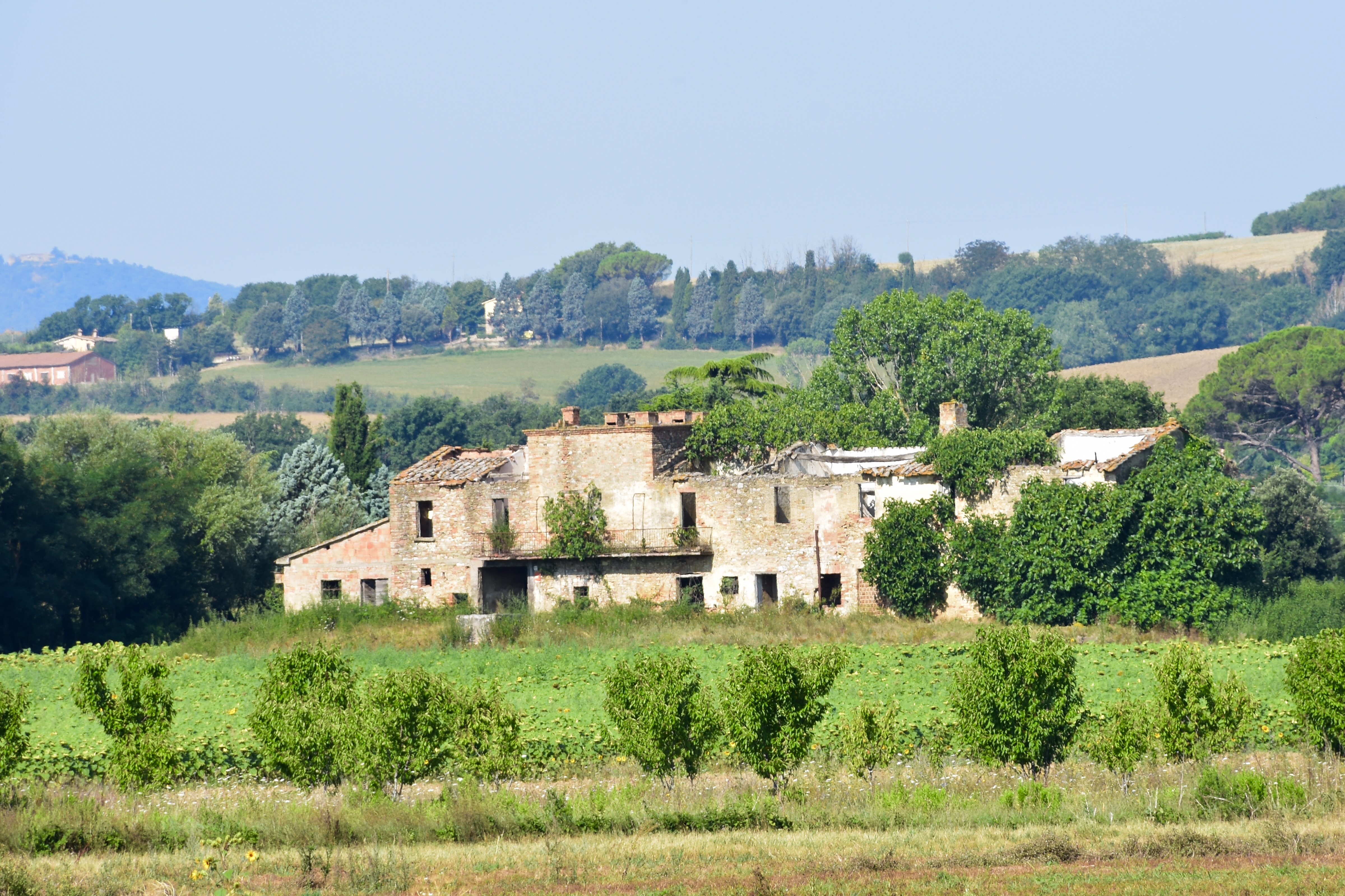 68798B07-D60E-4C67-9797-5D95628B9A18