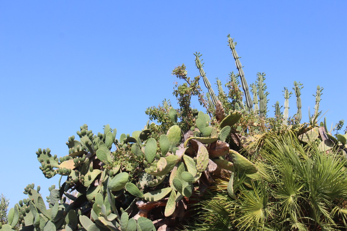 6A443FAA-DF30-4D0A-AC0A-F5A5E680B8EB