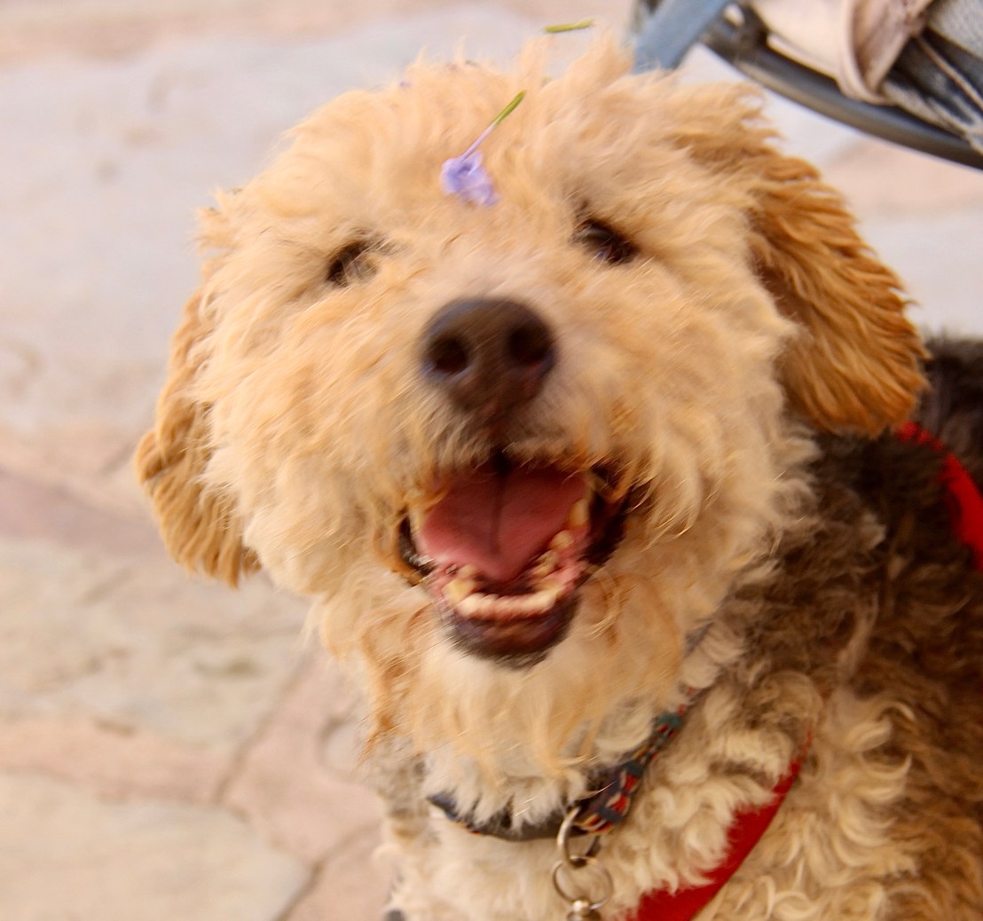 7903D7A8-53C0-4116-B0BC-DE6602359BC7