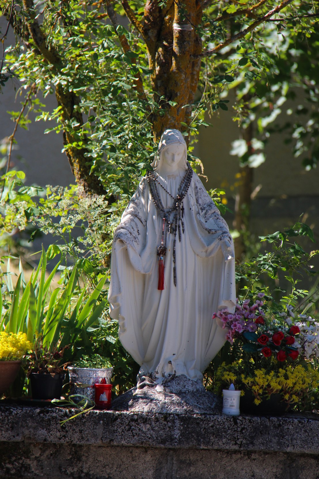 7ACE6FE6-C3FA-4708-A0F8-17FF495BBD22