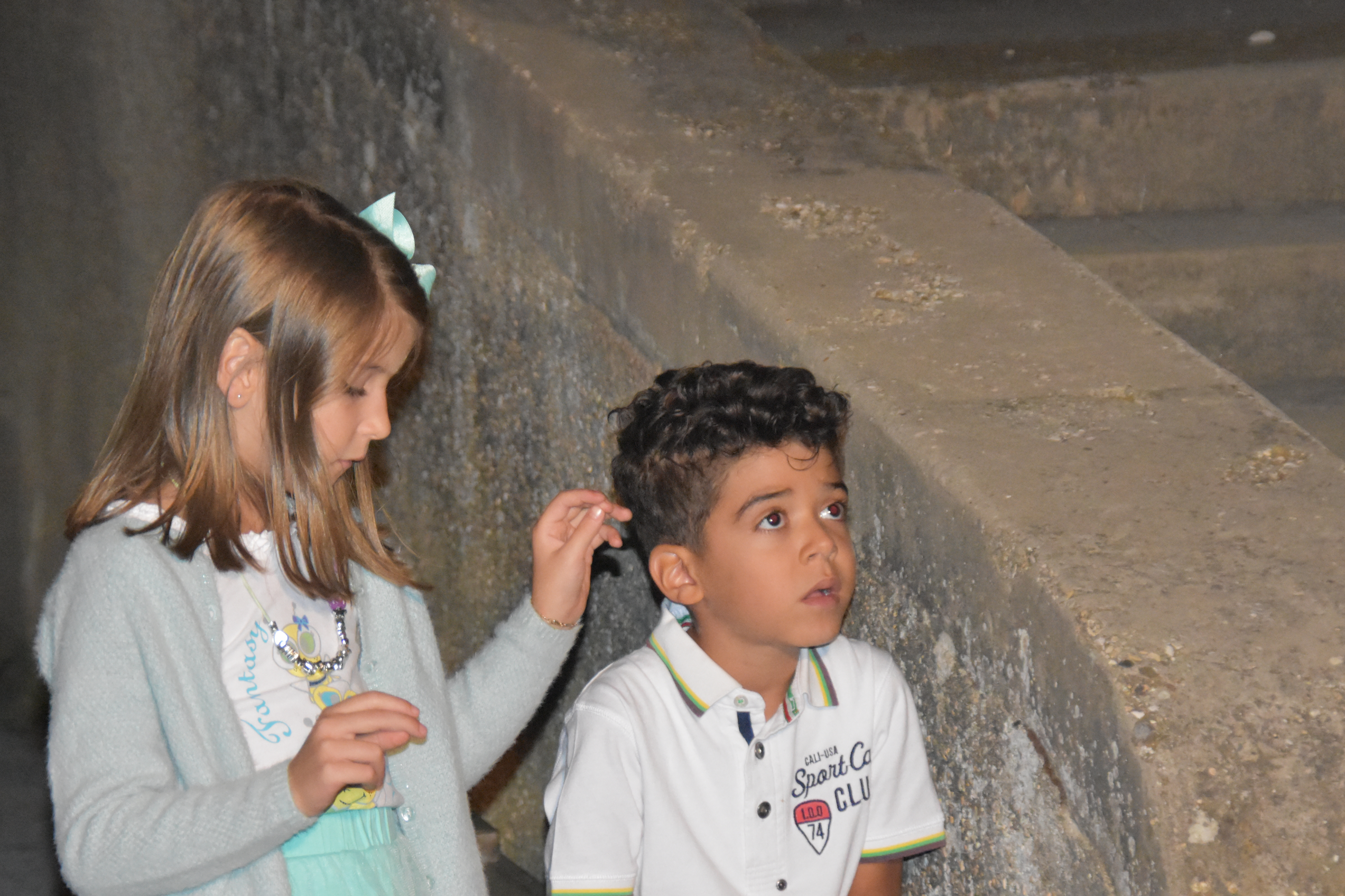 7C8B7913-FA57-4B2A-B985-3ABF5DF85660