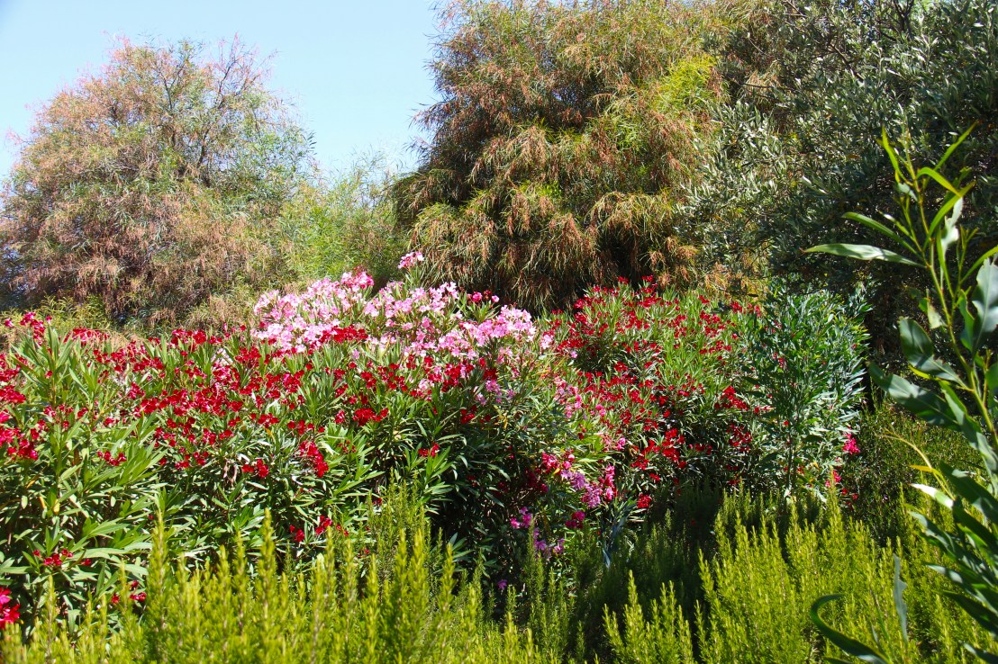 80DC4B1E-F559-47AB-8169-E16EE04CDC53