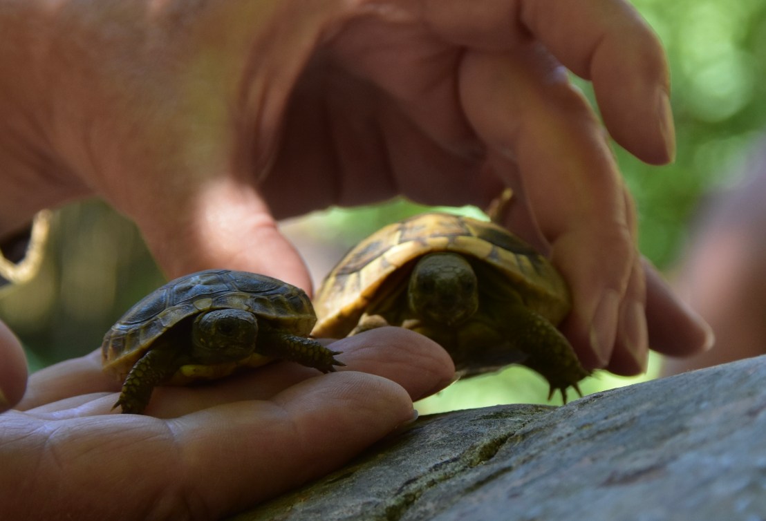 90AB9213-8E76-43EA-A5C4-C7DCDFFEB3AC