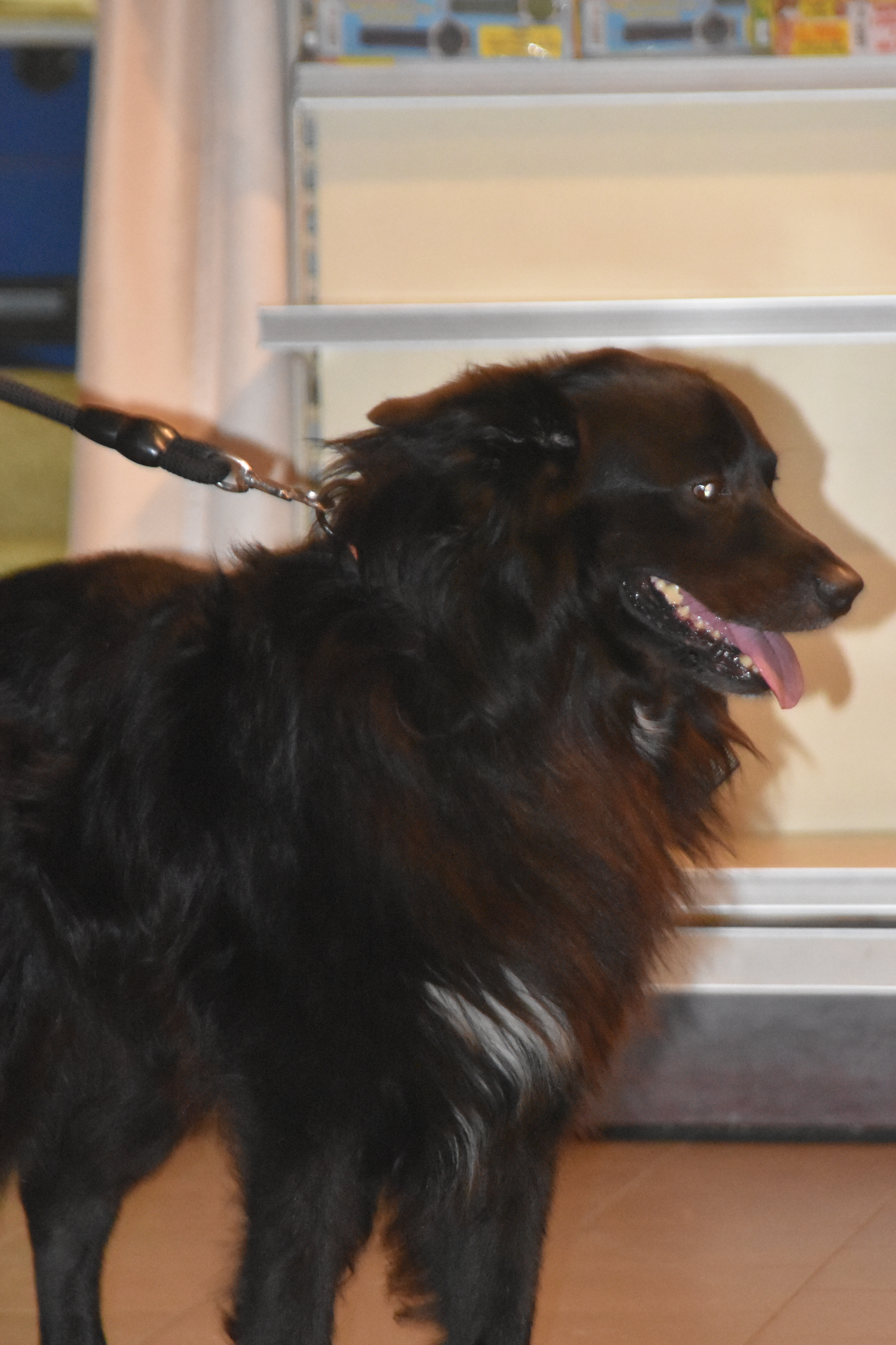 984FDD6B-8306-472B-B4CB-D0385490EACB