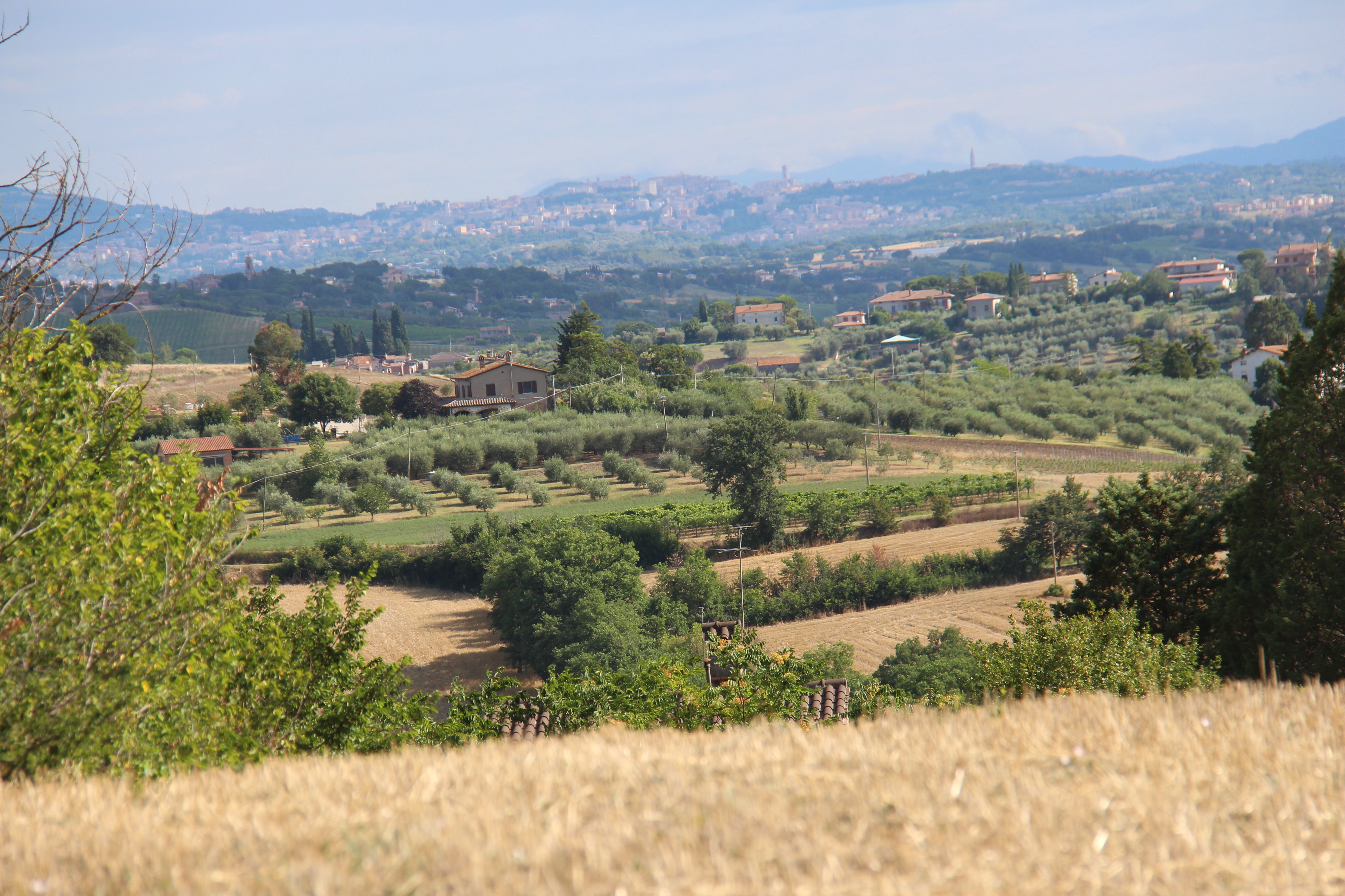 9A44990F-3BF1-4F8F-8655-FA9CE1AD3B14