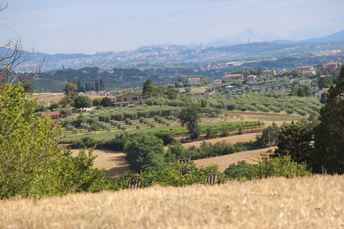 9A44990F-3BF1-4F8F-8655-FA9CE1AD3B14