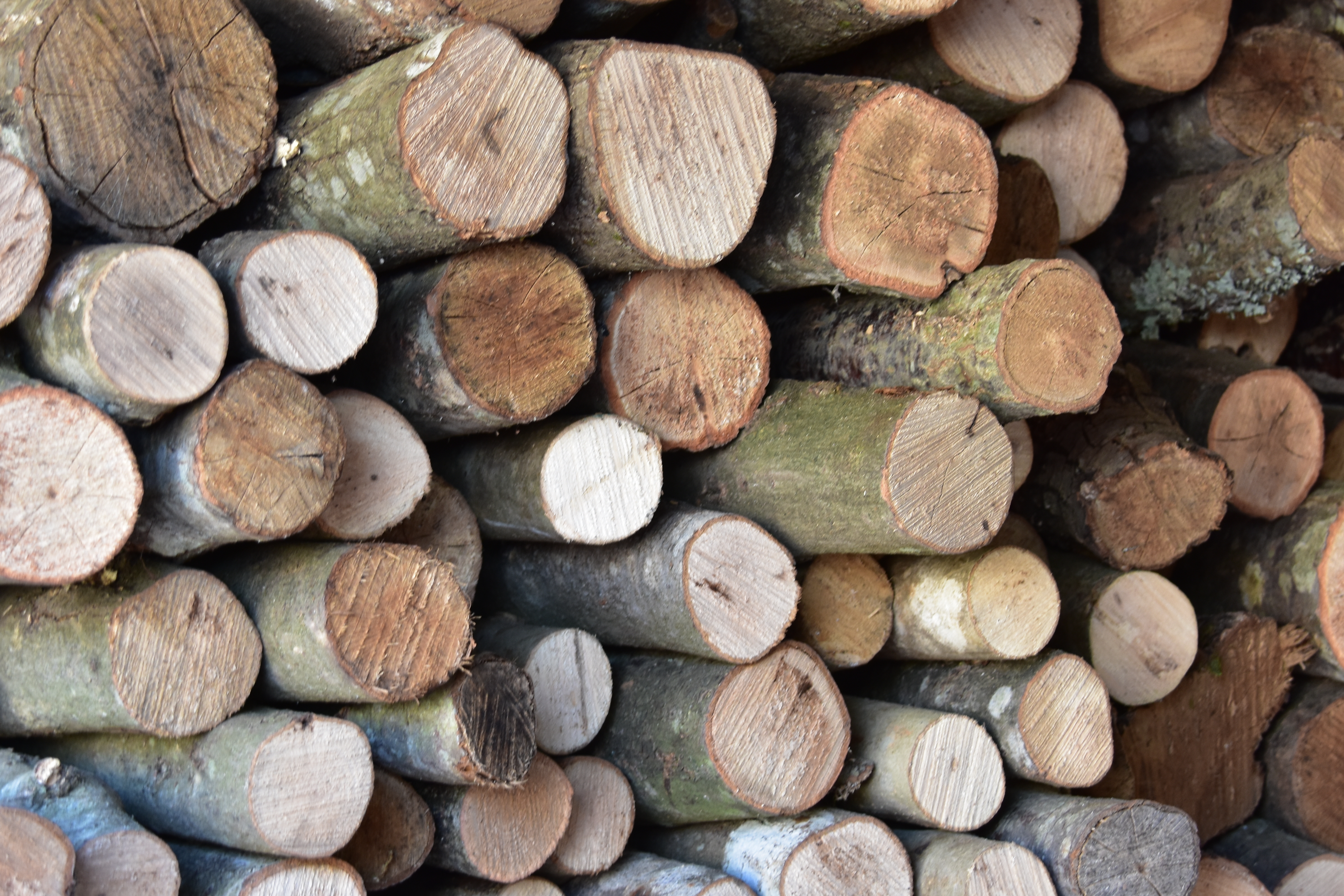 9AACE9BD-D9D3-4EBB-96D8-131D022150C1