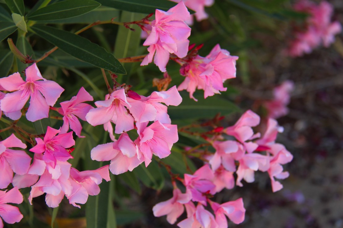 A37914C3-ECB0-4E44-B598-49621263CF2B