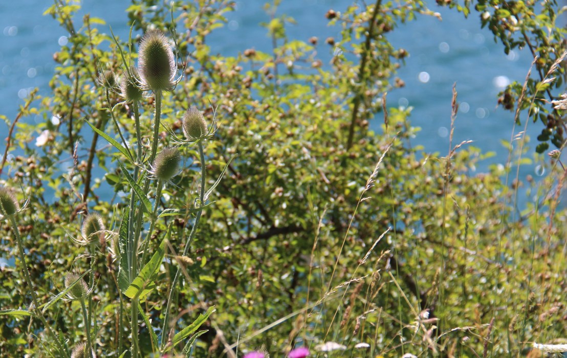 A5EDF6F1-20C4-40DD-9504-AA78FF129165