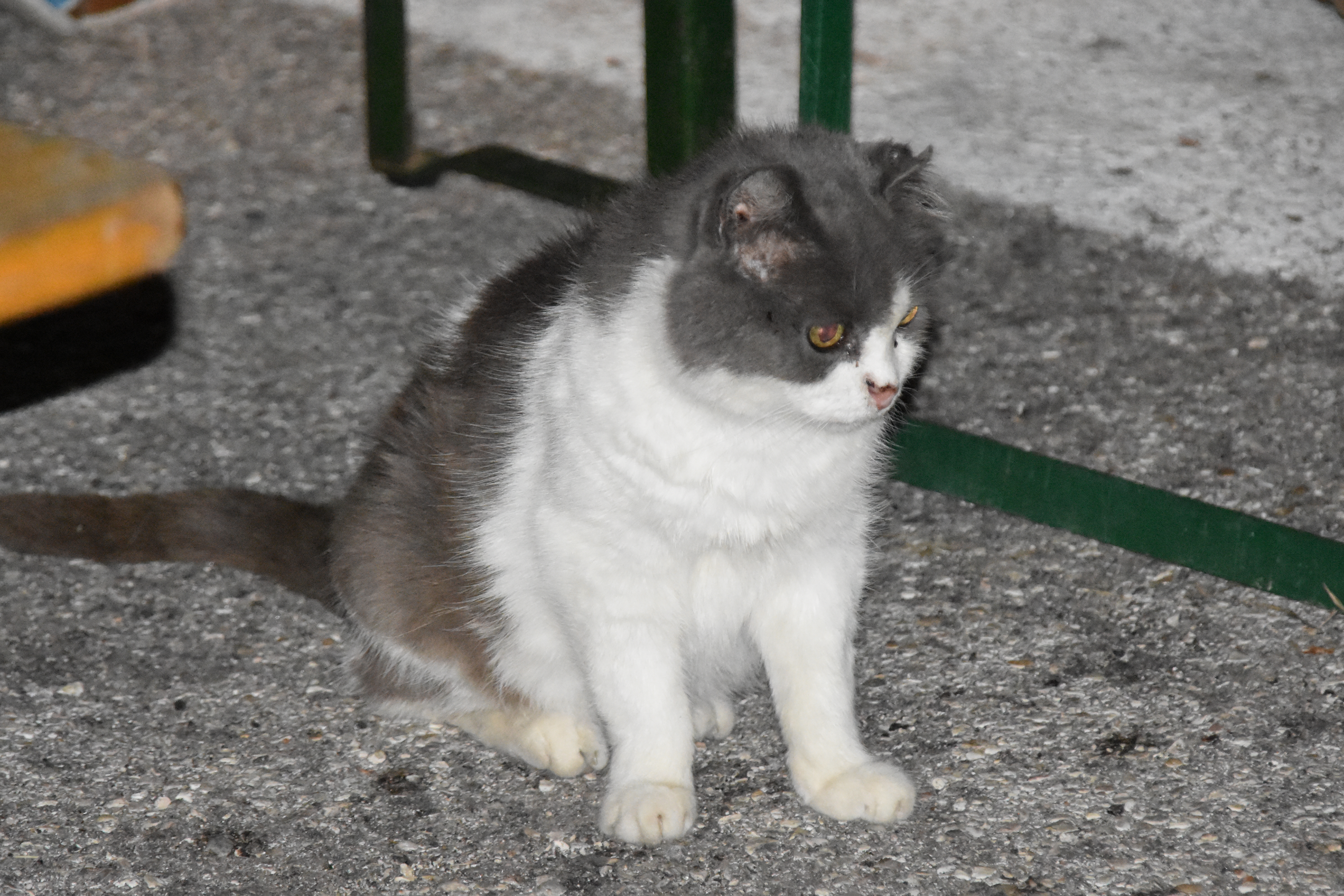 A82EDE8F-3EE6-4016-8AEB-61BC93EED3EA