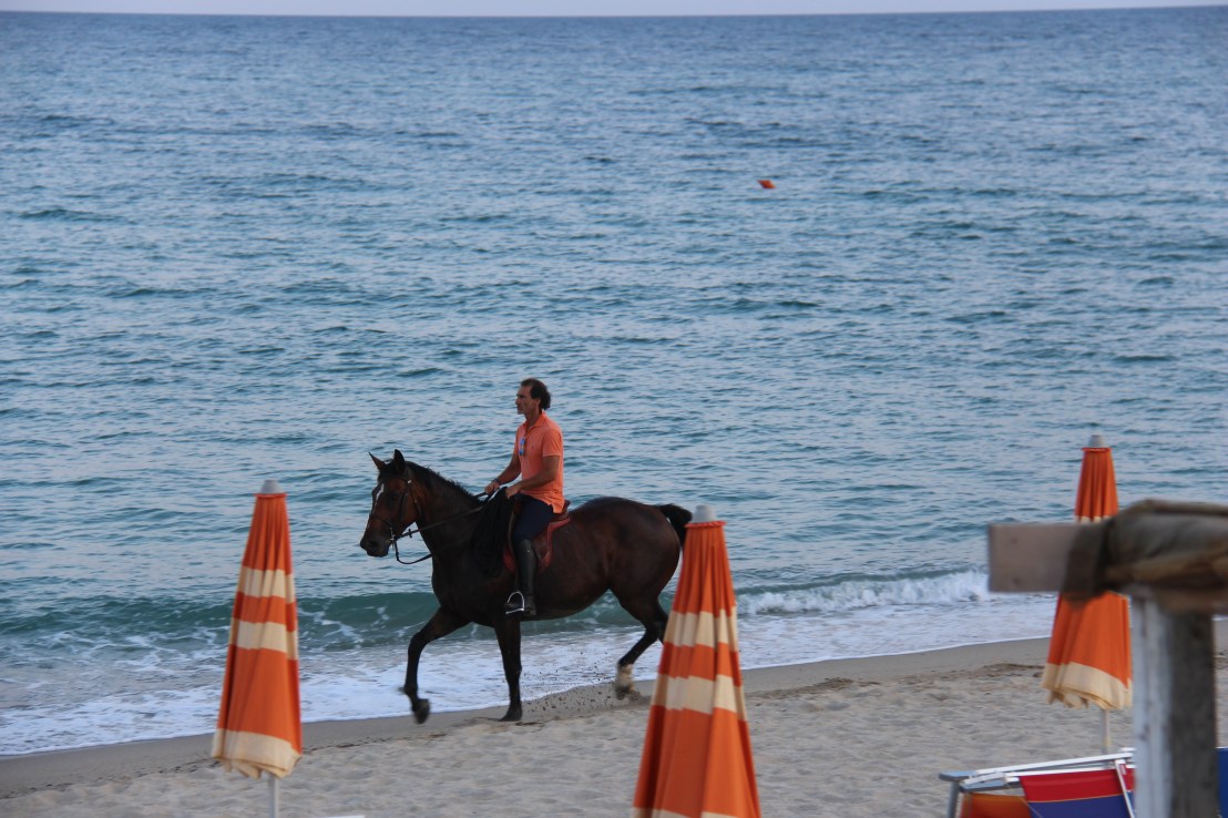 AAB3F57D-9CD2-4412-97A9-6D0F161483D8