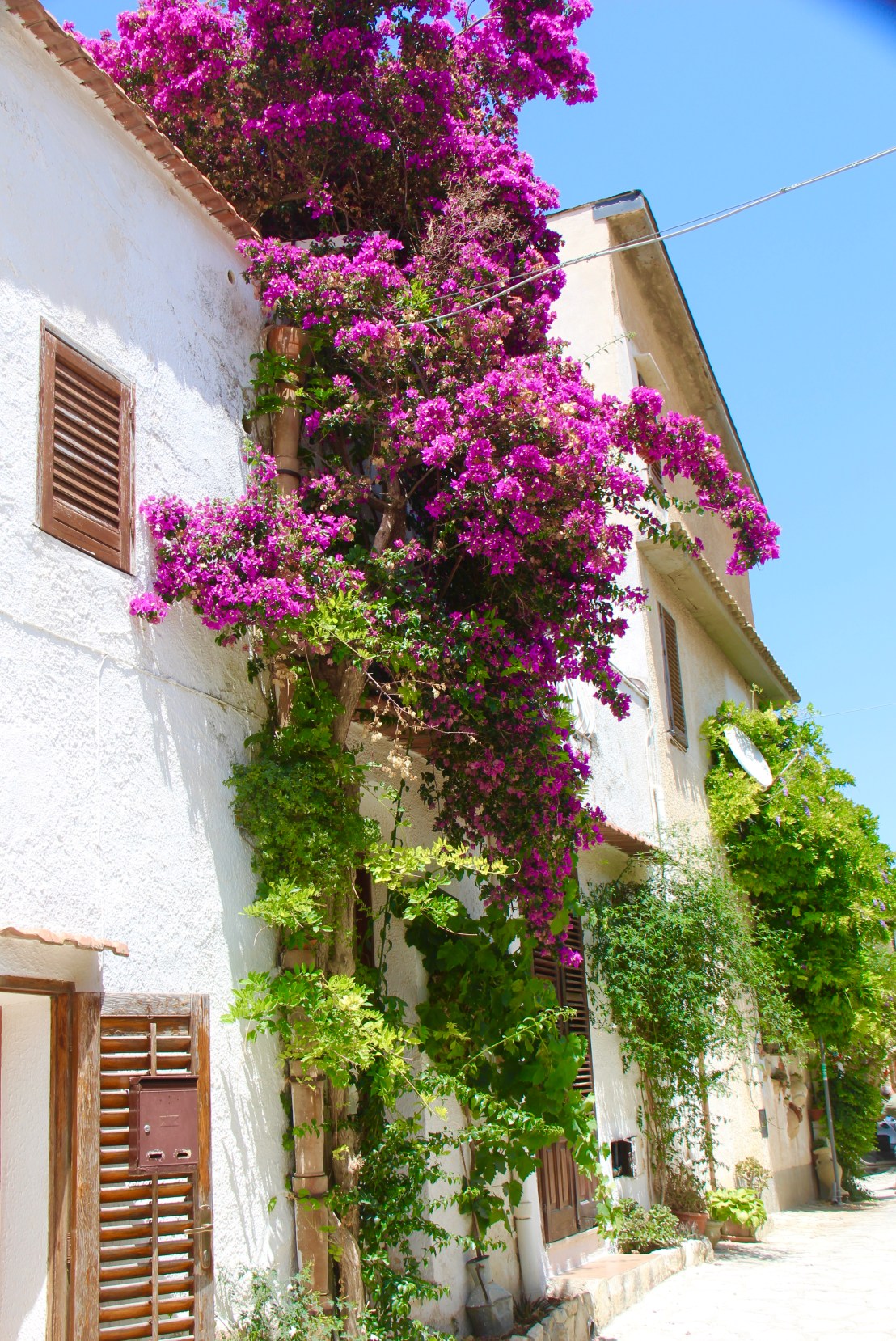 BD776F7B-1202-4AF8-8E92-BE50F15121EB