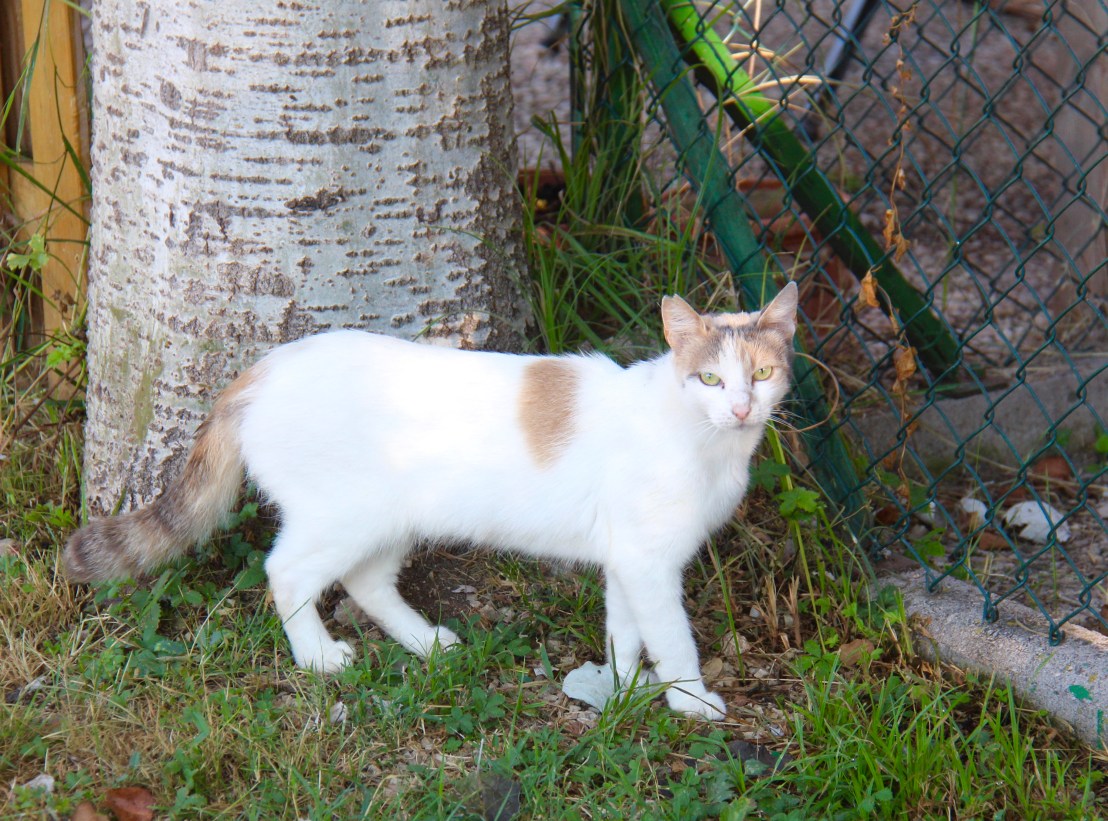 BDB161CE-21DF-4583-81F4-0BD273A6E2E9