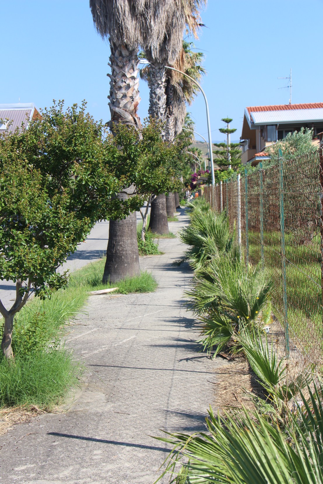 BEE656BA-2EB3-48E0-BA05-26126B853962