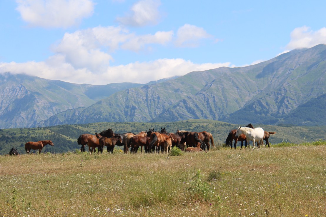 C826DB92-6321-41B4-9084-48682CA8AA8A