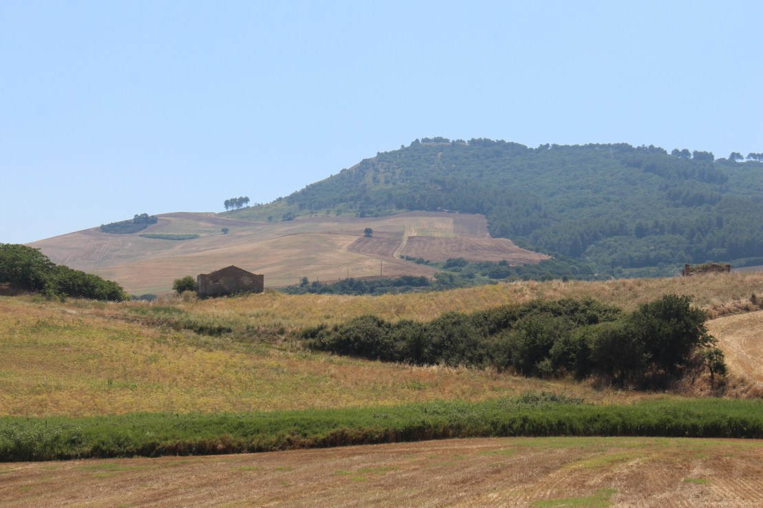 C8E93F18-E468-4D63-AA64-954C599323F7