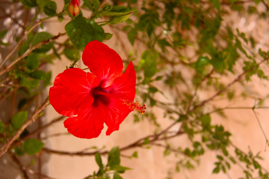 CD0C5D07-1064-467B-AE7A-E8E026A5B684