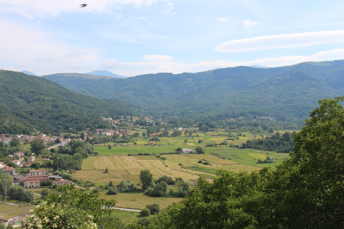 CDC29843-0AFD-4B38-8184-EF122D44A992