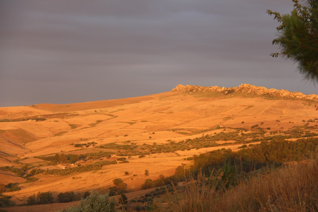 D2117A12-2E8D-4979-93AC-1CA3FDE83C6D