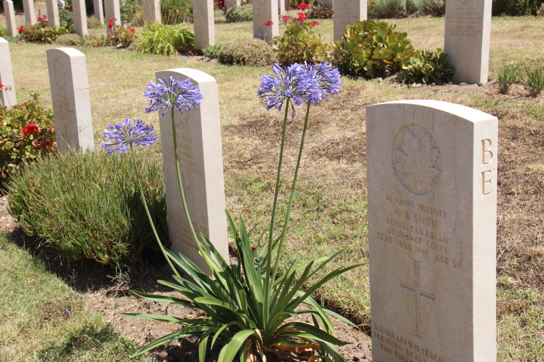 D353140B-8C66-4B13-991D-3B3F628048AB