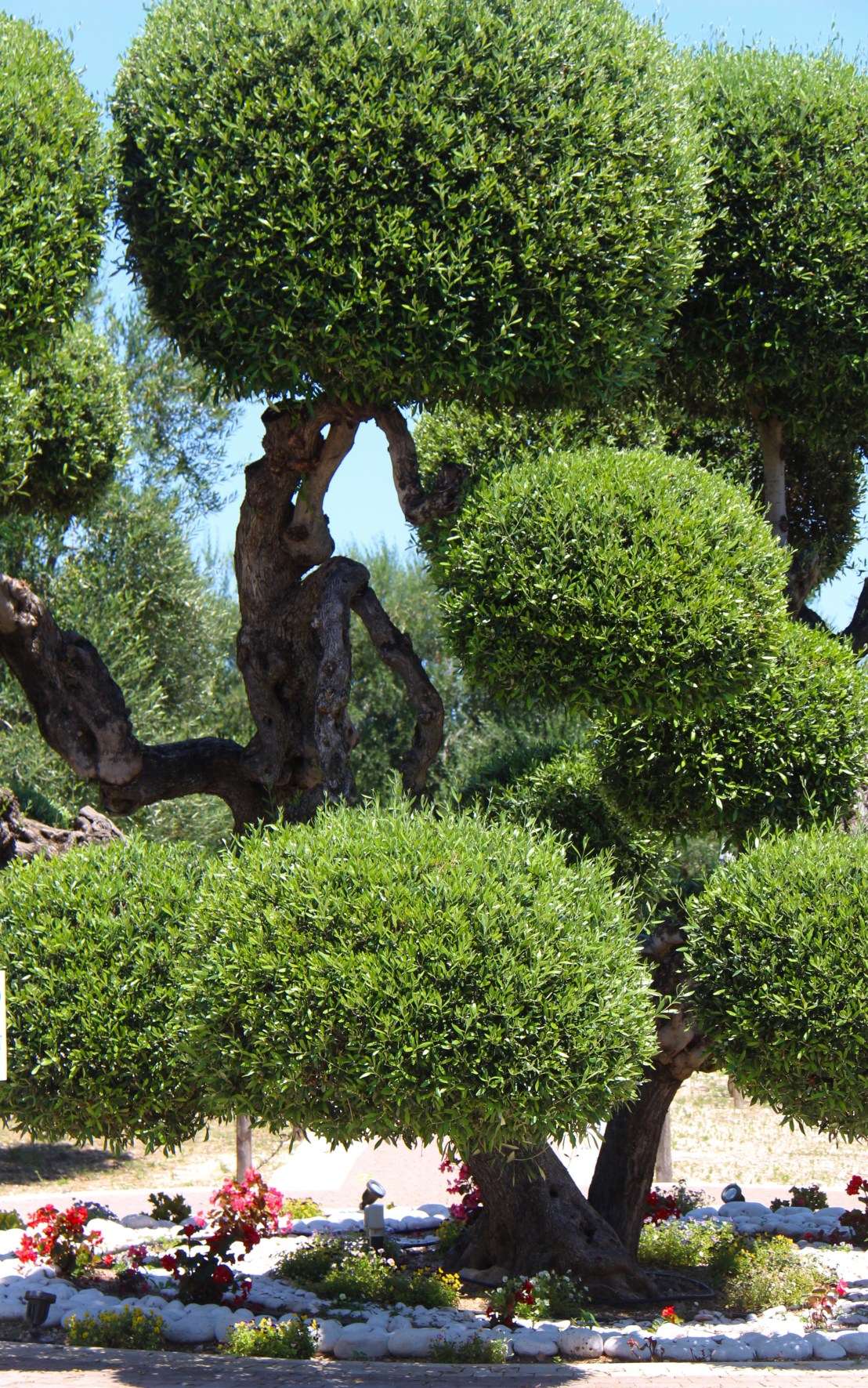 D3999261-94BB-46F5-833C-727D97F88C2B