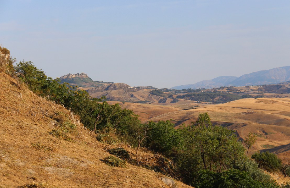 D5E1CB4D-6D9F-4343-B25D-F2884C8257AC