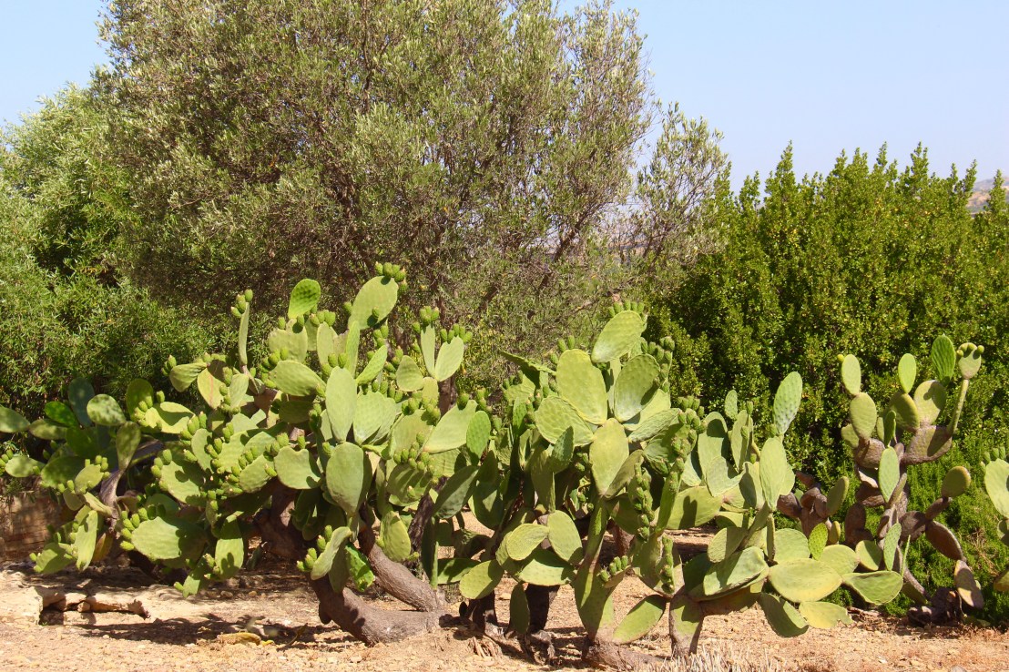 D7C794A9-BFCD-4EE6-ABB2-86FC07B52058