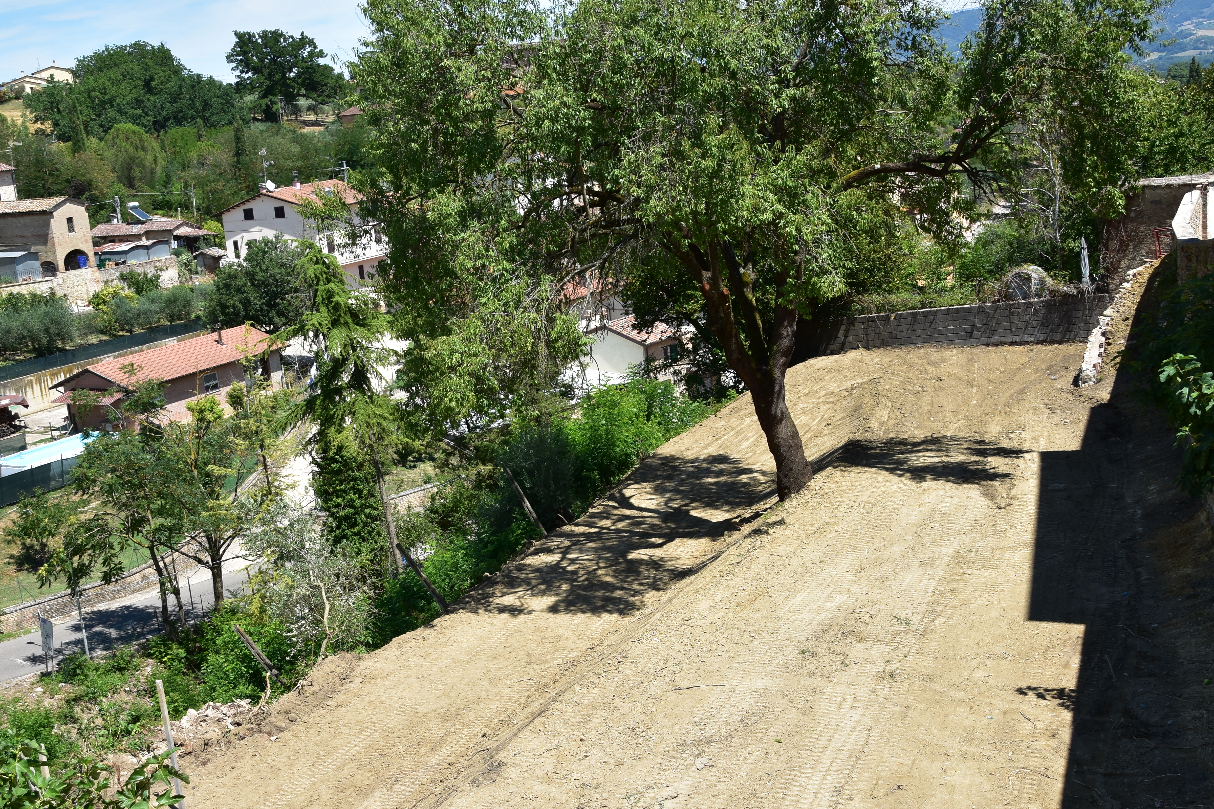 E0886957-C40F-449E-ADB7-831F7BF552B7