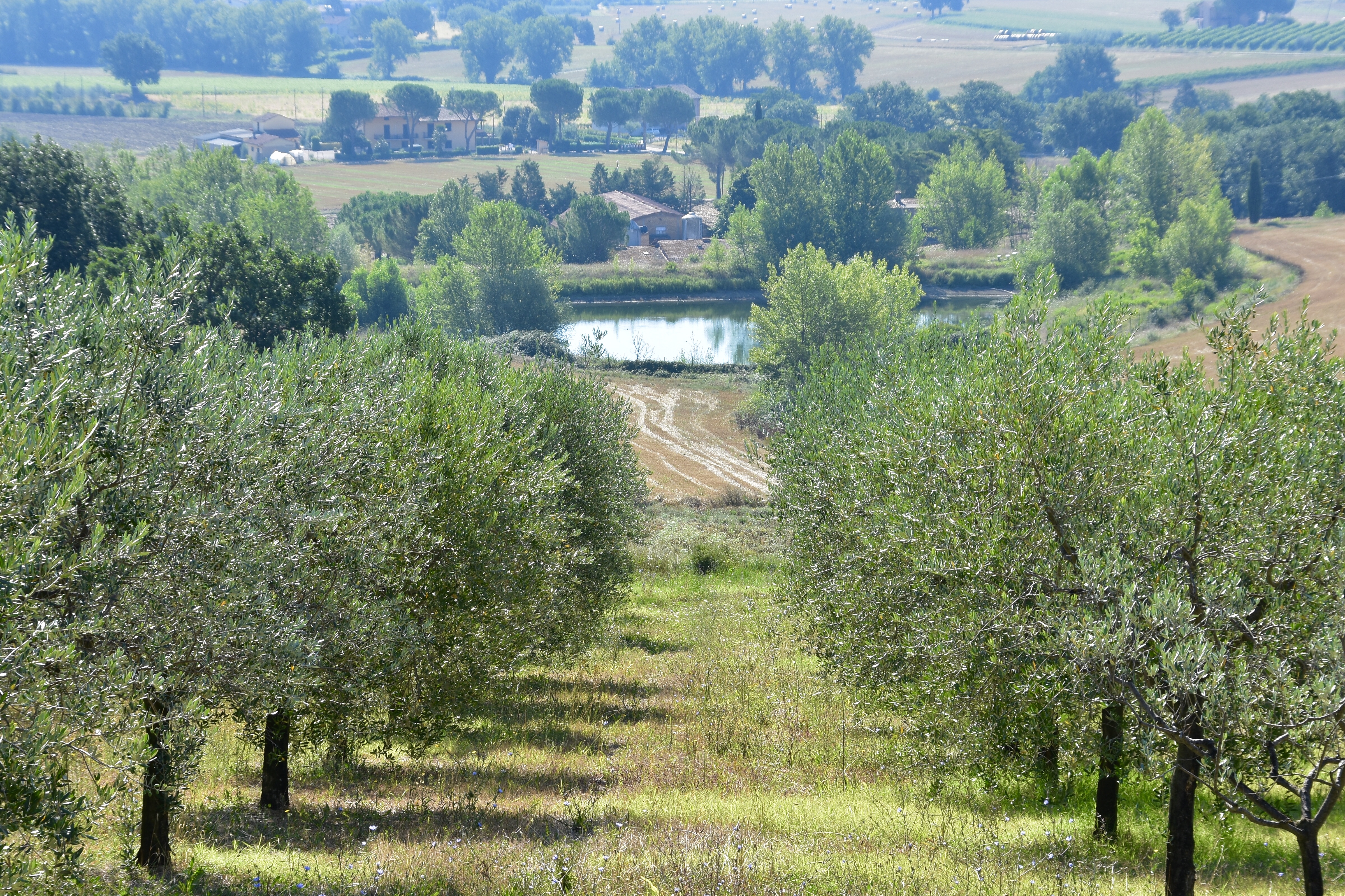 E7613862-30F2-489A-B80E-69B34C1C4AE4