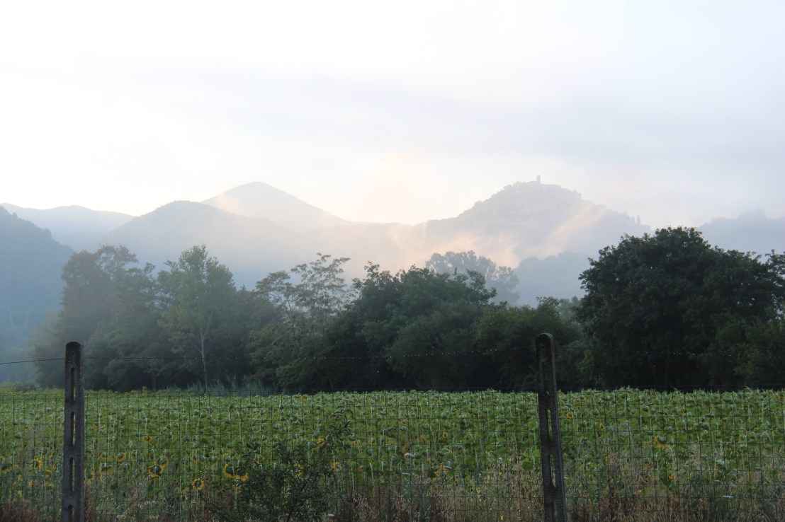 E9A5FAFA-6D08-45E2-AB8E-35B08432F5F2